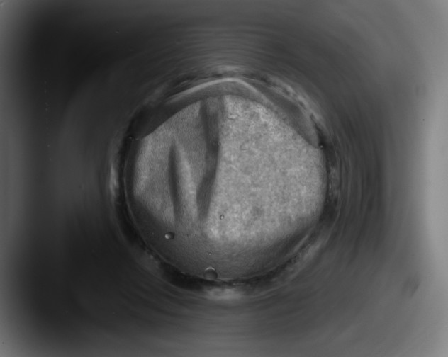 X0000087550358200705181110