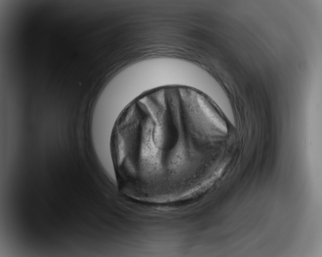 X0000087550360200705181110