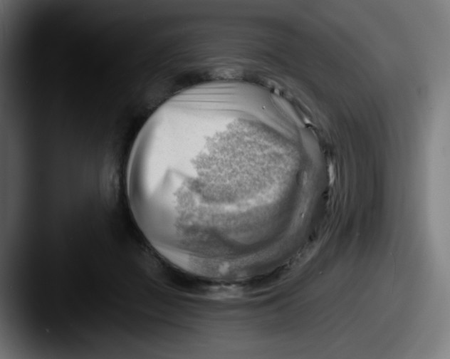 X0000087550363200705181111