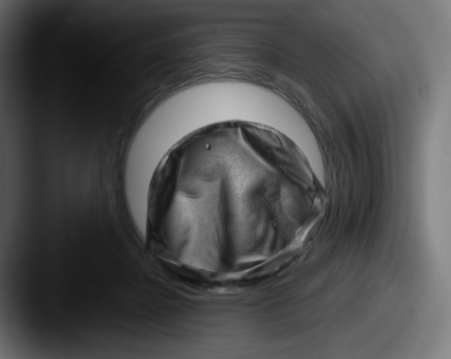 X0000087550364200705181111