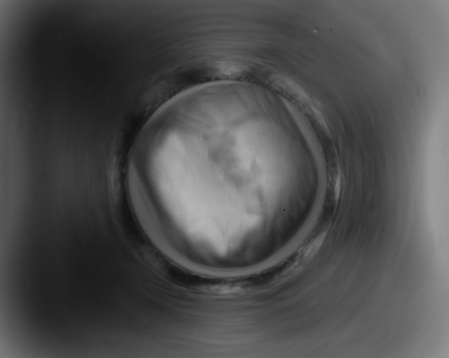 X0000087550366200705181111