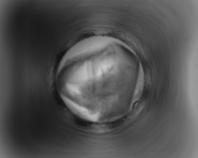 X0000087550367200705181111