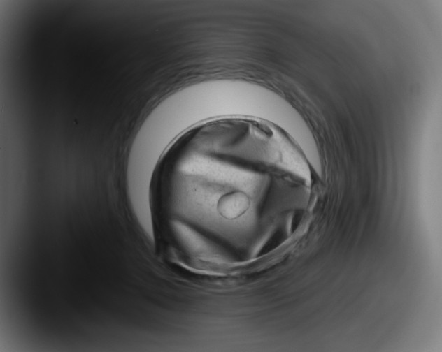 X0000087550368200705181111