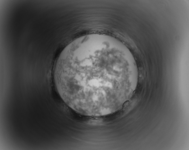 X0000087550369200705181111