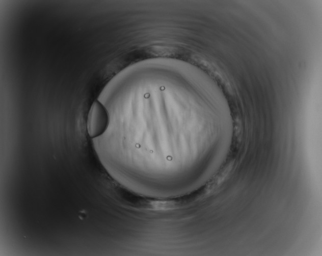 X0000087550371200705181111