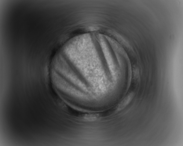 X0000087550373200705181111