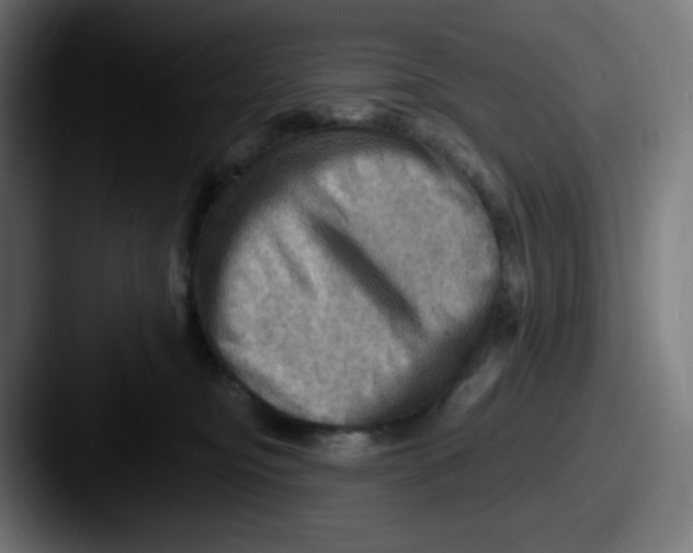 X0000087550374200705181111