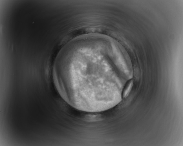 X0000087550375200705181111