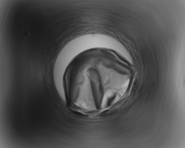 X0000087550376200705181111