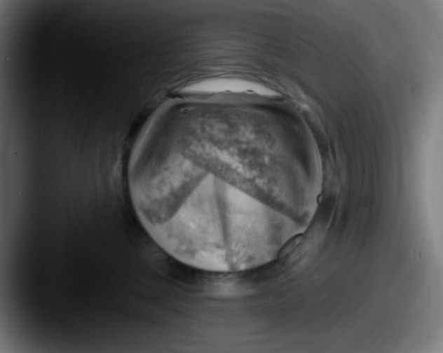 X0000087550377200705181111