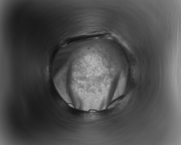 X0000087550378200705181111