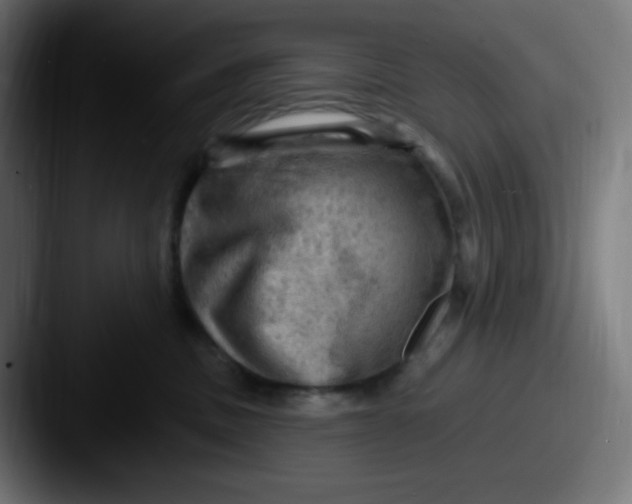 X0000087550379200705181111