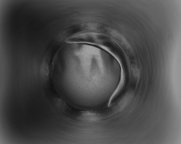 X0000087550380200705181111