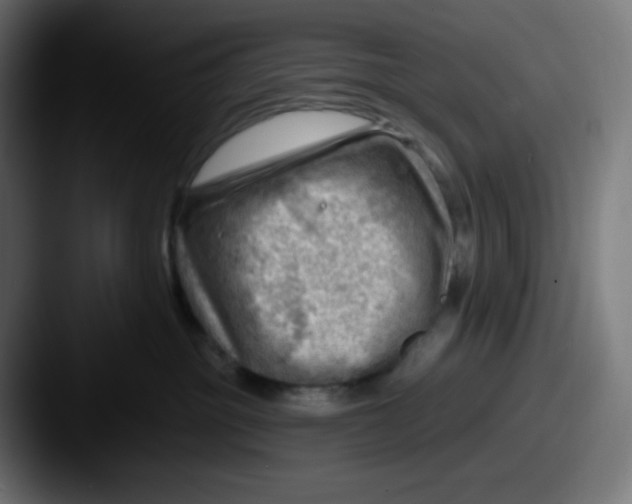 X0000087550381200705181111