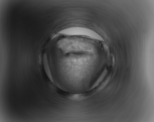 X0000087550382200705181111