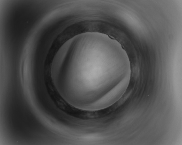 X0000087550383200705181111