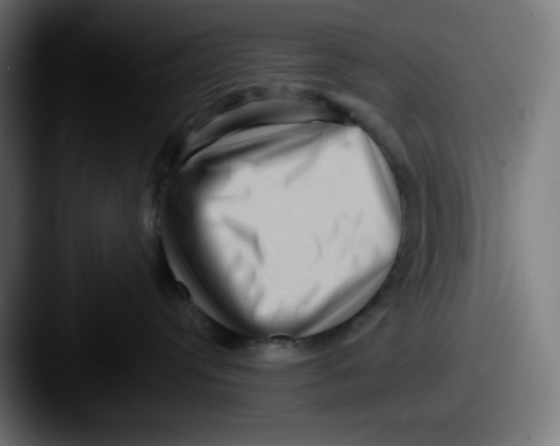 X0000087550384200705181111