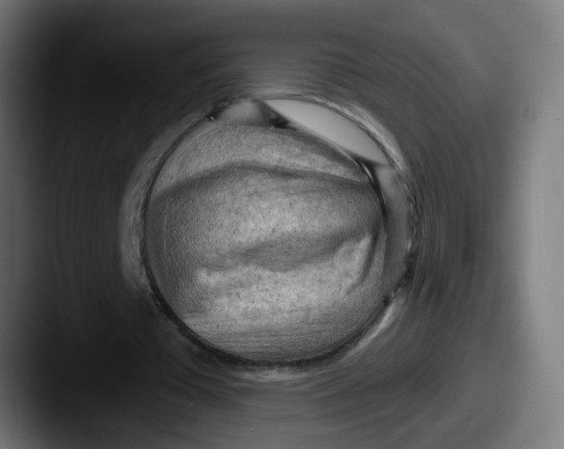 X0000087550385200705181110