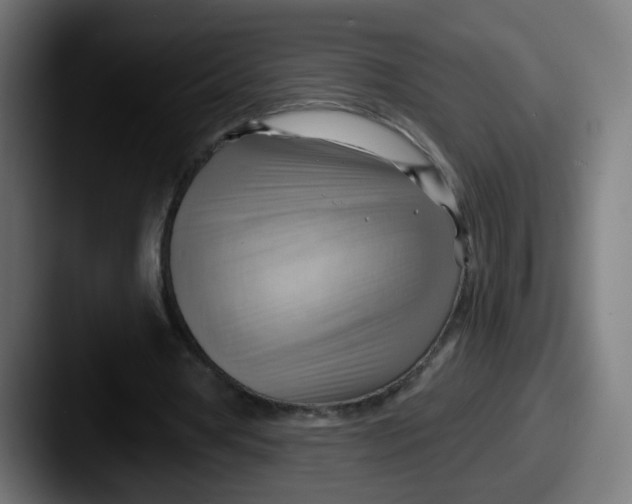 X0000087550386200705181110