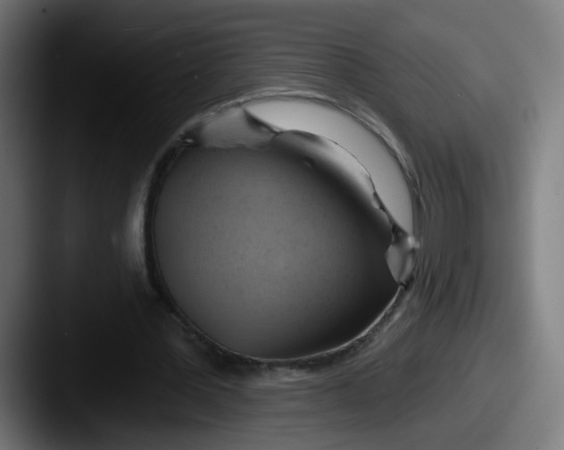 X0000087550387200705181110