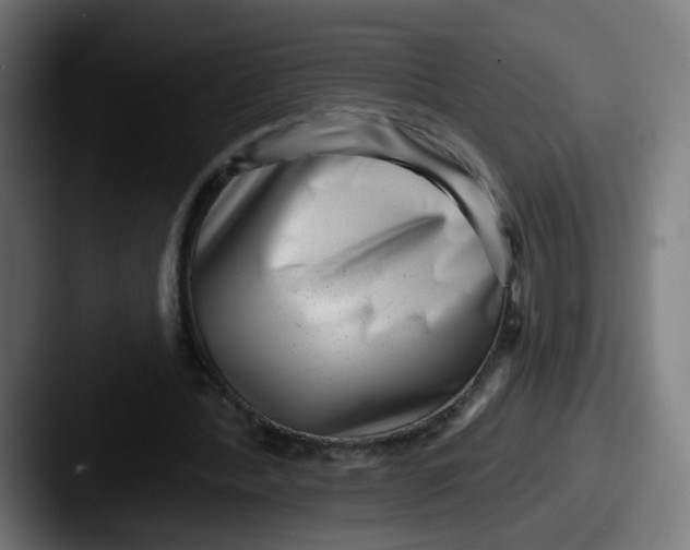 X0000087550388200705181110