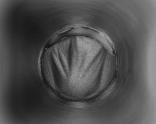 X0000087550389200705181110