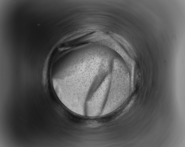 X0000087550392200705181110