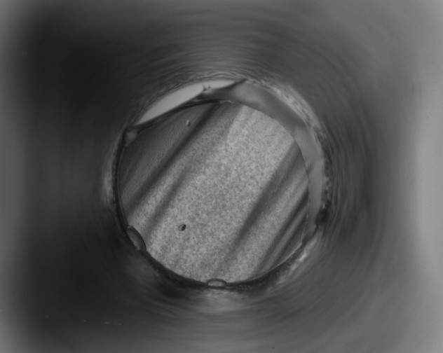 X0000087550393200705181110