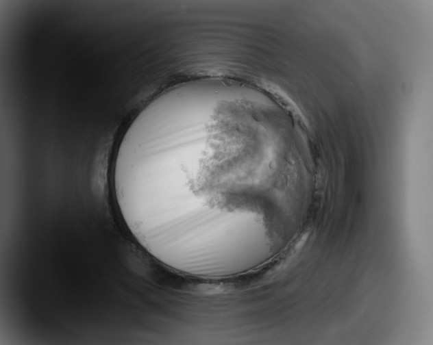 X0000087550394200705181110