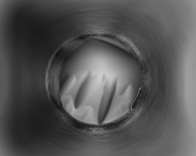 X0000087550395200705181110