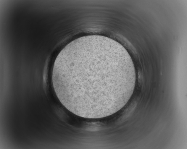 X0000087550396200705181110