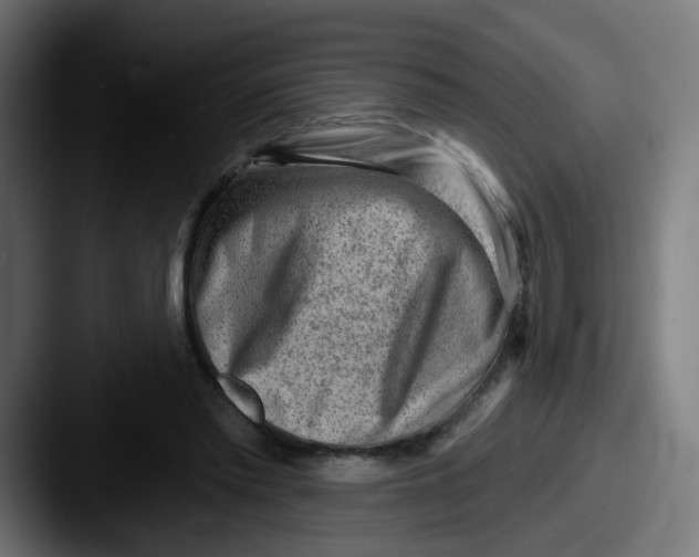 X0000087550397200705181110