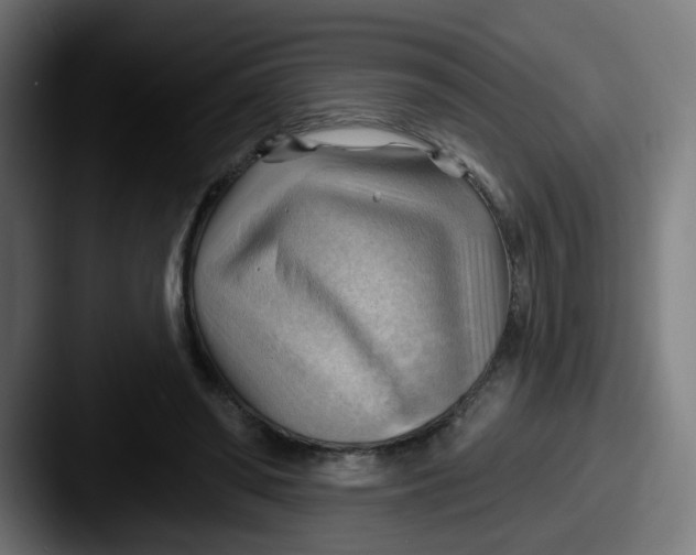 X0000087550398200705181110