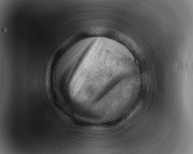 X0000087550400200705181110