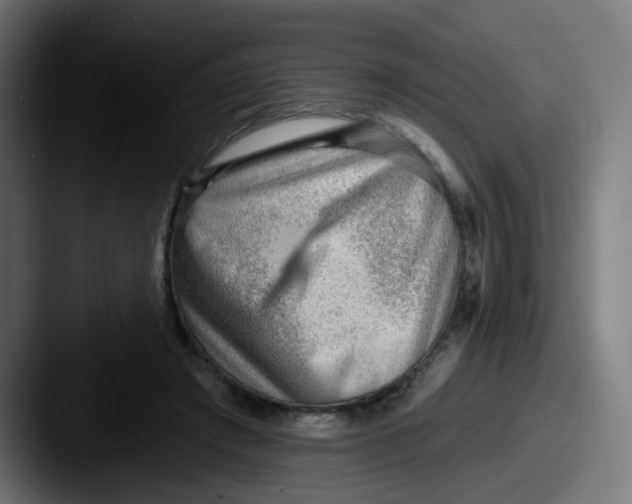 X0000087550401200705181110