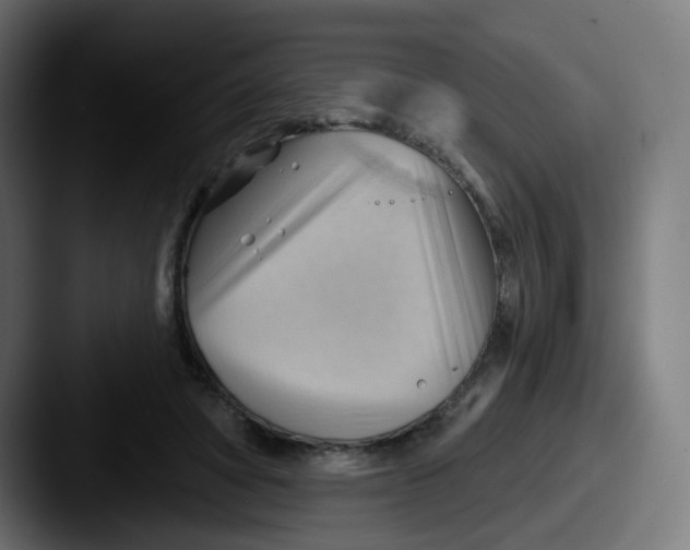 X0000087550402200705181110