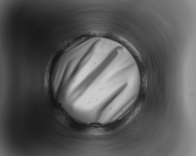 X0000087550403200705181110