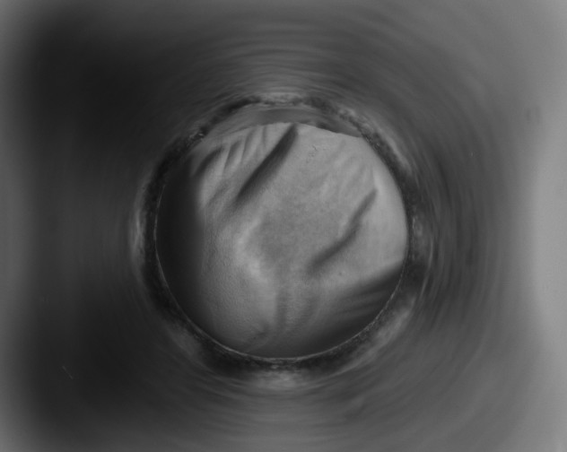 X0000087550404200705181110