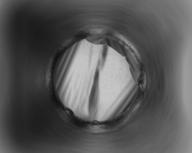 X0000087550407200705181110