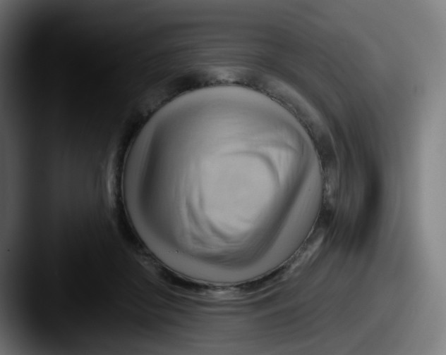 X0000087550410200705181110