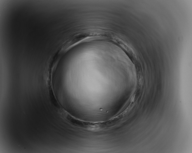 X0000087550411200705181110