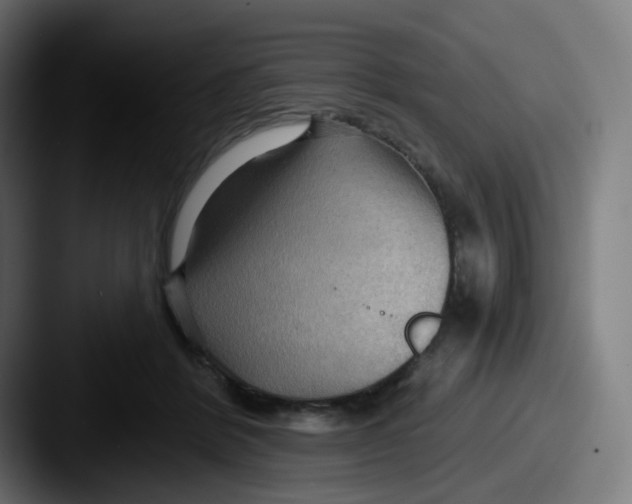 X0000087550412200705181110