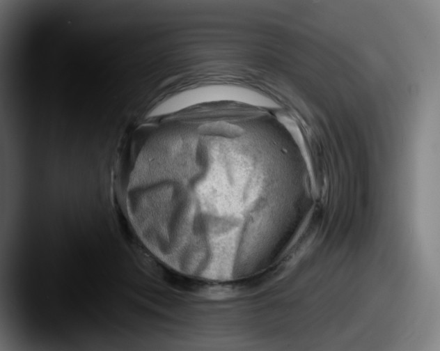 X0000087550413200705181110