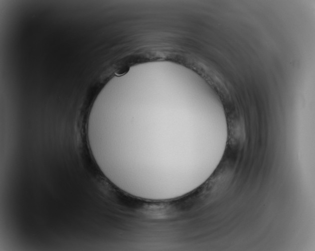 X0000087550414200705181110