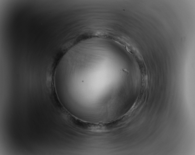 X0000087550415200705181110