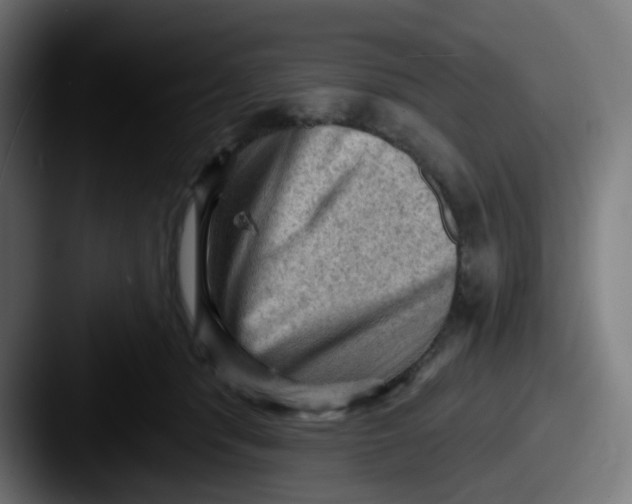 X0000087550416200705181110