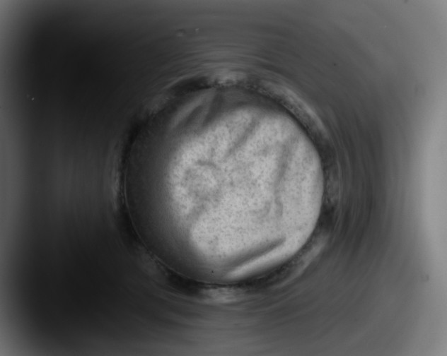 X0000087550417200705181110