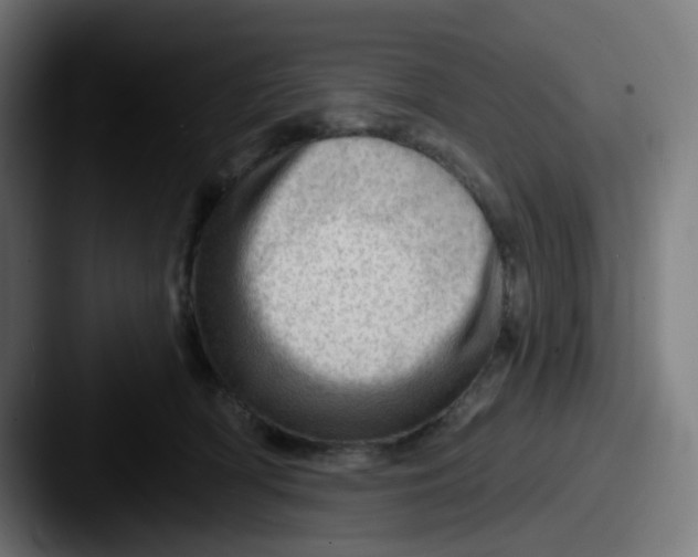 X0000087550418200705181110