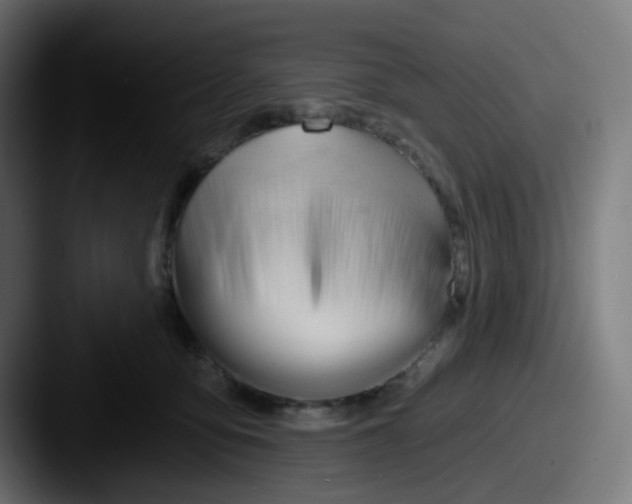 X0000087550419200705181110