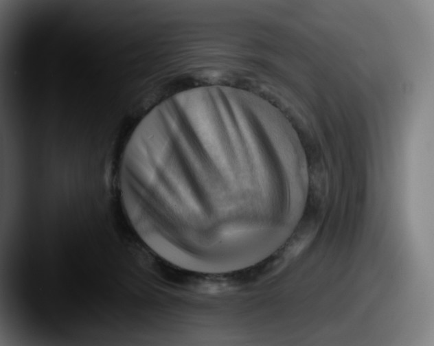 X0000087550420200705181110